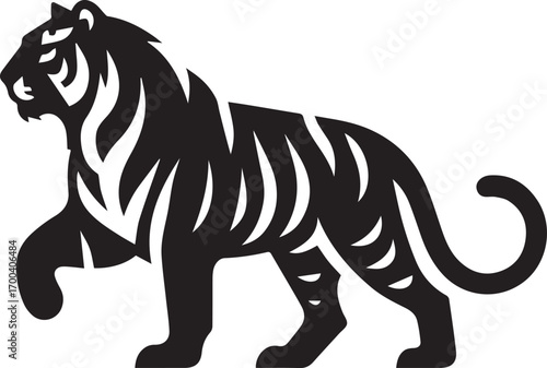 tiger vector illustrations