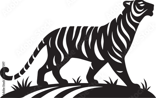 tiger vector illustrations