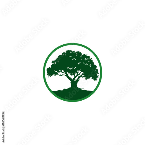 green tree on the earth