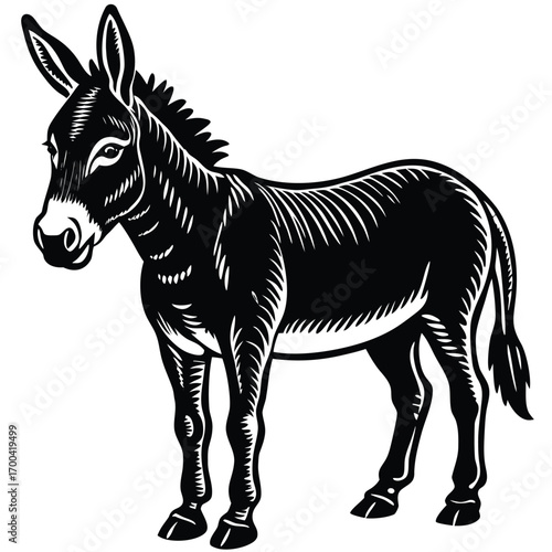 mule