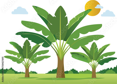 Lush green banana trees under a bright sun with fluffy clouds green leaves tropical