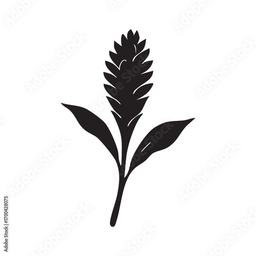 Silhouette of a plant and a tree vector illustration