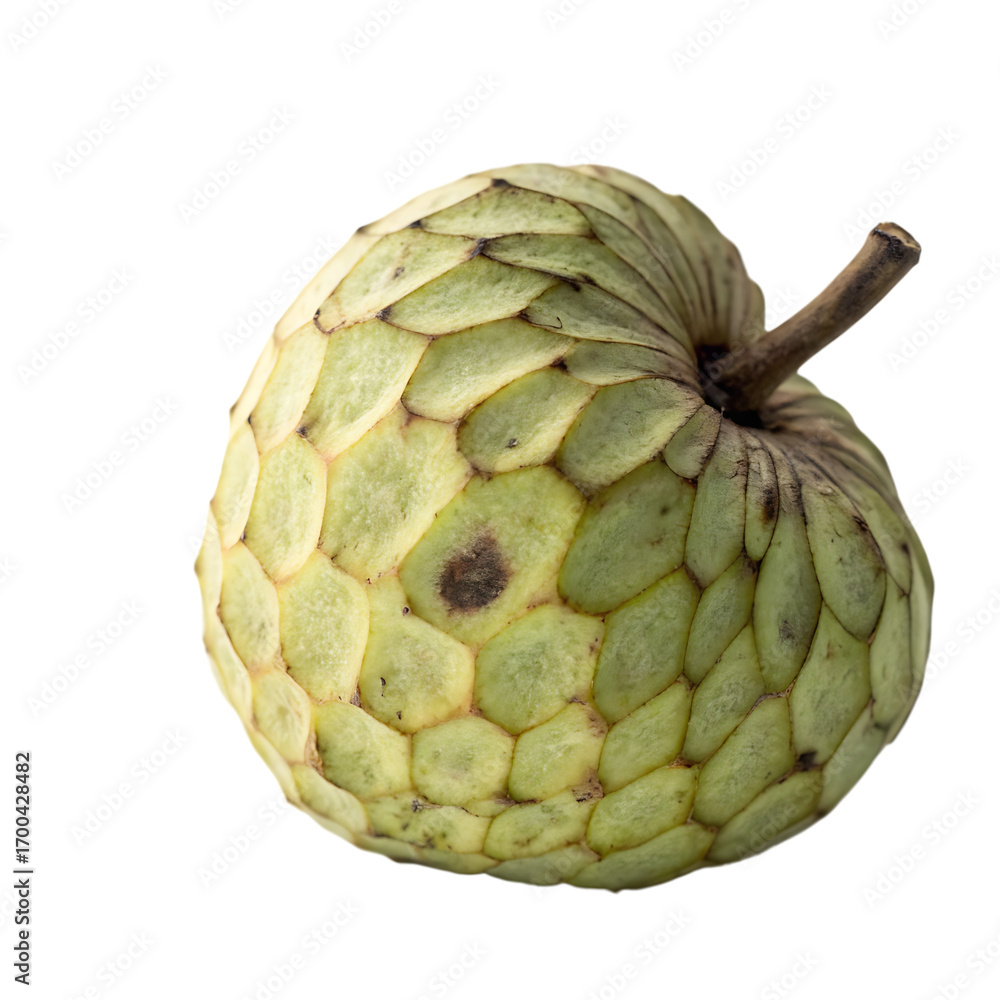 Fototapeta premium Green ripe cherimoya or custard apple isolated on a transparent background png