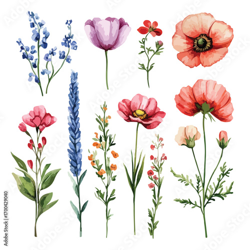 Wallpaper Mural Set of poppy flower illustrations with floral design and nature elements Torontodigital.ca