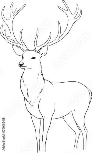 Majestic Stag with Large Antlers Standing Proudly Black and White Outline Keywords: stag, deer