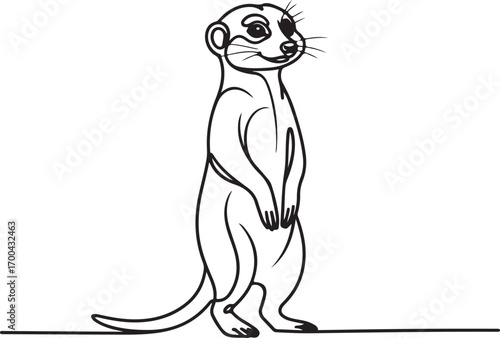 Meerkat Standing Alert on Hind Legs Black and White Outline Keywords: meerkat, animal, wildlife