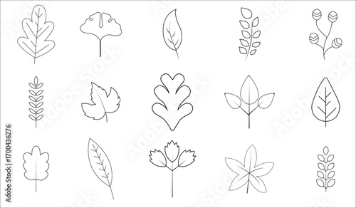 Collection of flower vector illustrations with butterflies and floral designs