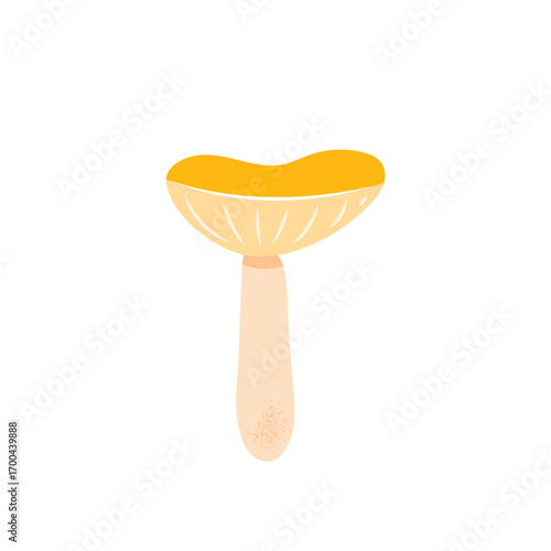 Simple cute chanterelle mushroom isolated on white background. Vector illustration. Autumn edible mushroom
