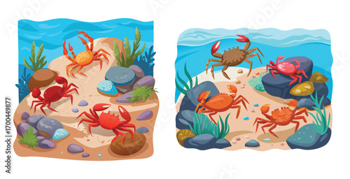 Lively crabs scuttling among tide pool rocks vector art design illustration