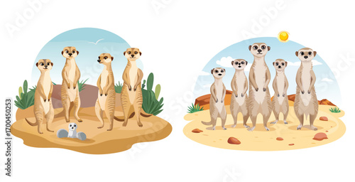 Meerkats standing alert on a sandy mound vector art design illustration