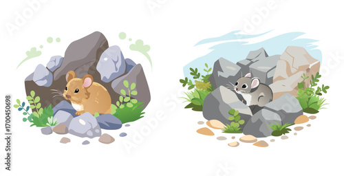 Pika hiding under stones small round eared mammal vector art design illustration