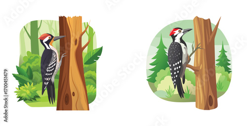 Woodpecker perched on a tall tree trunk mid tap vector art design illustration