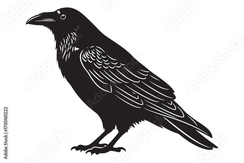 A black raven stands tall, its feathers detailed against a white background, showcasing its sharp beak and intelligent gaze isolated on white background vector illustration
