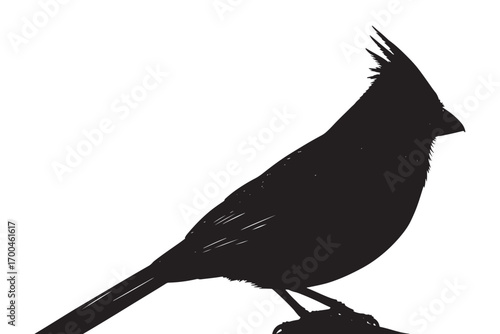 Silhouette of a northern cardinal perched on a branch, isolated on white background, showcasing its distinctive crest and elegant profile vector illustration