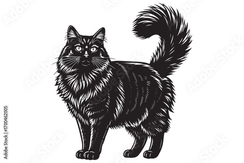 Elegant black cat with fluffy tail isolated on white background, showcasing its majestic presence and mysterious charm in a classic feline portrait vector illustration