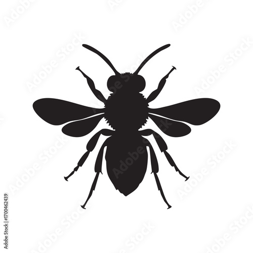 Mosquito isolated on a white background vector illustration