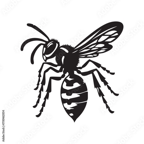 Wasp and bee vector illustration with a black wasp on a white background