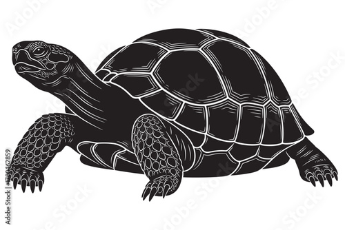 A detailed drawing of a turtle with a patterned shell, showcasing its unique features and texture isolated on white background vector illustration