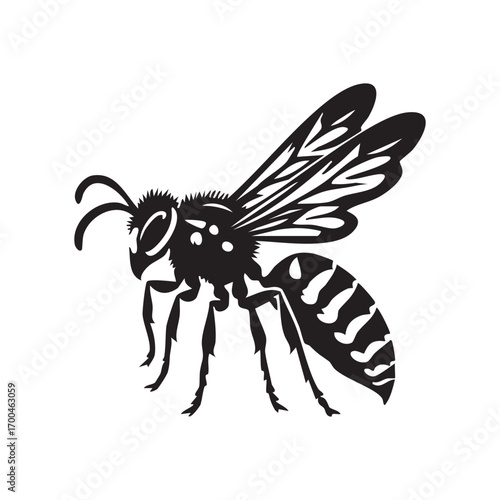 Cartoon vector illustration of a mosquito and a wasp with insect icons and symbols.
