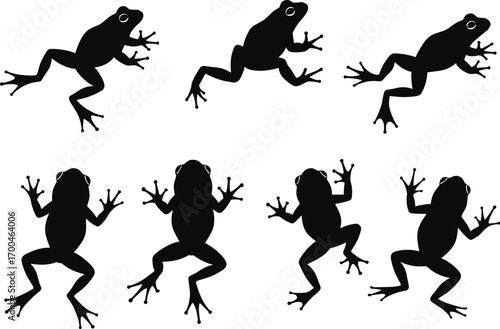 Set of frog silhouette vector illustrations in various jumping and sitting poses, ideal for nature, wildlife, biology, and amphibian themes.