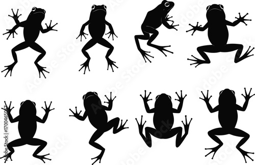 Silhouette vector illustration of frogs in different poses, jumping and sitting, perfect for wildlife, amphibian, biology, or nature themes.