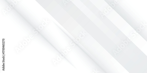 Amazing premium background. Elegant gray white diagonal lines with smooth soft shadow. Light silver grey gradient. Geometric modern stripe design  modern