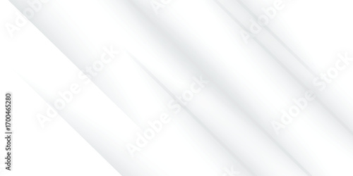 Amazing premium background. Elegant gray white diagonal lines with smooth soft shadow. Light silver grey gradient. Geometric modern stripe design  modern