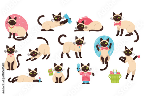 Collection of adorable siamese cats in various poses and activities isolated on white background, showcasing their playful and elegant nature vector illustration