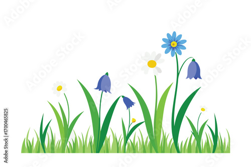 Meadow Grass Border with Bluebells and Daisies on White