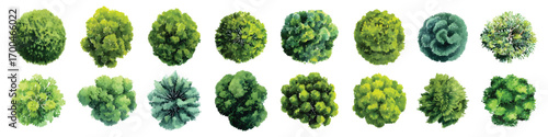 Green trees bush top view landscape architectural maps environmental watercolor set isolated on transparent background