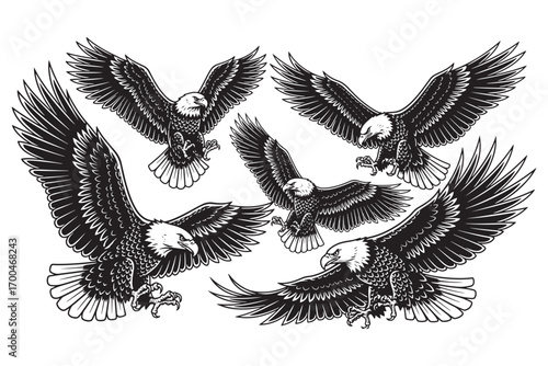 Group of majestic bald eagles in flight with wings spread wide, depicted in detailed black and white, isolated on white background vector illustration