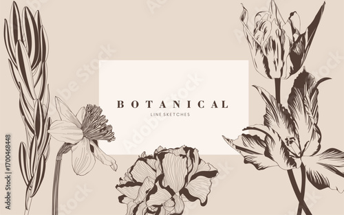 Tulips, daffodil flowers. Engraved background. Wedding background card floral decorative border. Thank you, rsvp, invitation elegant card illustration graphic set banner.