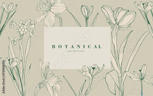 Spring garden flowers. Engraved background. Wedding background card floral decorative border. Thank you, rsvp, invitation elegant card illustration graphic set banner.