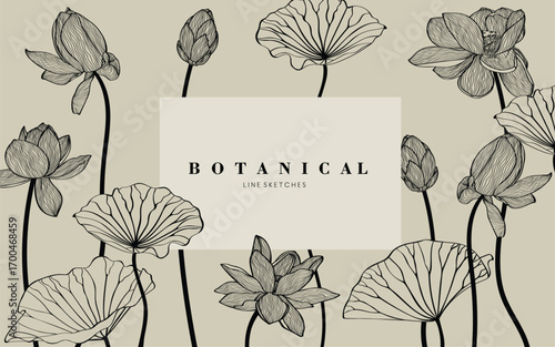 Tropical lotus flowers. Engraved background. Wedding background card floral decorative border. Thank you, rsvp, invitation elegant card illustration graphic set banner.