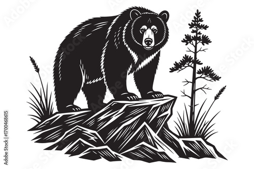 A majestic black bear standing atop a rocky outcrop, with a pine tree and tall grasses nearby isolated on white background, exuding power and wilderness vector illustration