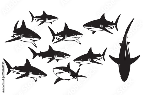 A dynamic composition of multiple sharks isolated on white background, capturing their sleek forms and powerful presence in a striking visual display vector illustration