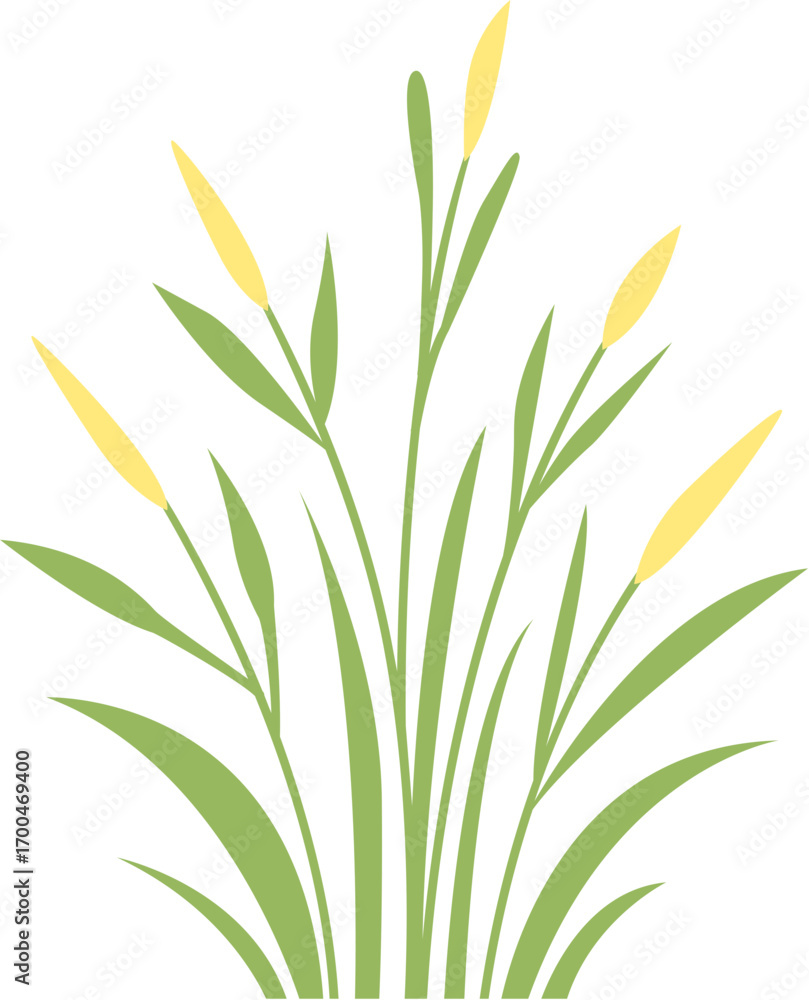 Obraz premium green grass with dew