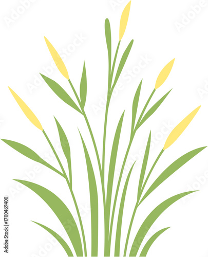 green grass with dew