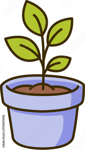 bonsai tree in a pot