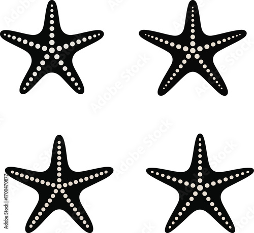 Starfish and sea stars set isolated marine vector illustration