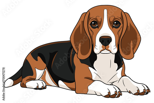 A cute beagle puppy with a white stripe on its forehead is lying down, isolated on white background, looking at the viewer with its big brown eyes vector illustration