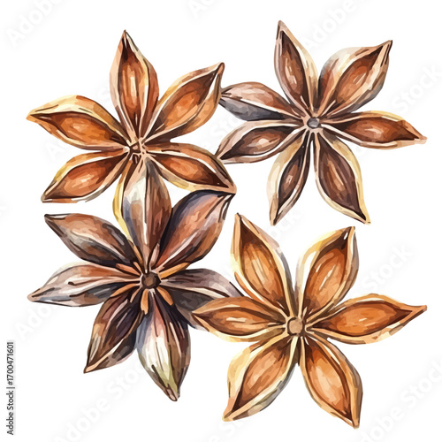 A beautiful painting of anise seeds, EPS format, isolated on transparent background, hand-drawn paint,  Simple Illustration, watercolor style, minimal yet artistic elements for creative designs. 