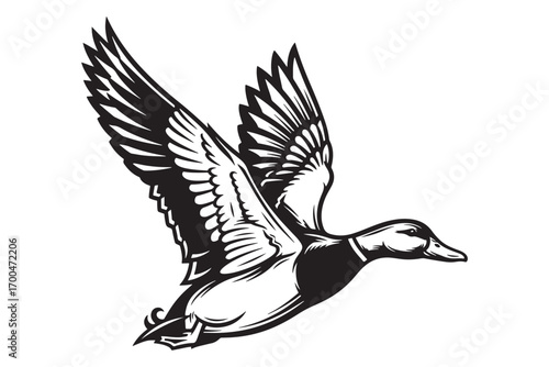 Silhouette of a mallard duck in flight isolated on white background, showcasing its majestic wingspan and streamlined body in a monochromatic composition vector illustration