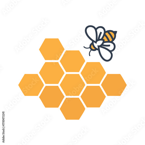 Honeycomb bee vector illustration on white background