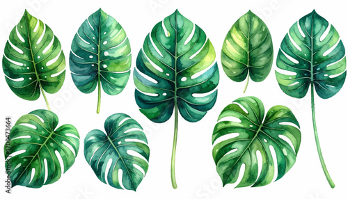 Tropical Monstera Leaf Artwork. Fresh Monstera Leaves Painting. Watercolor Botanical Leaf Art. Nature-Inspired Monstera Art. Lush Tropical Leaves Painting. Elegant Green Leaf Watercolor
