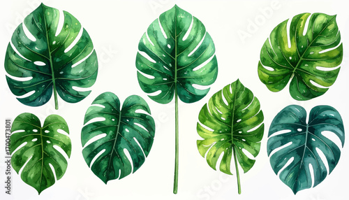 Lush Monstera Leaves Painting. Fresh Tropical Green Leaf Art. Botanical Monstera Leaf Watercolor. Green Leaves Watercolor Artwork. Elegant Monstera Leaves Design. Vibrant Leaf Greenery Art