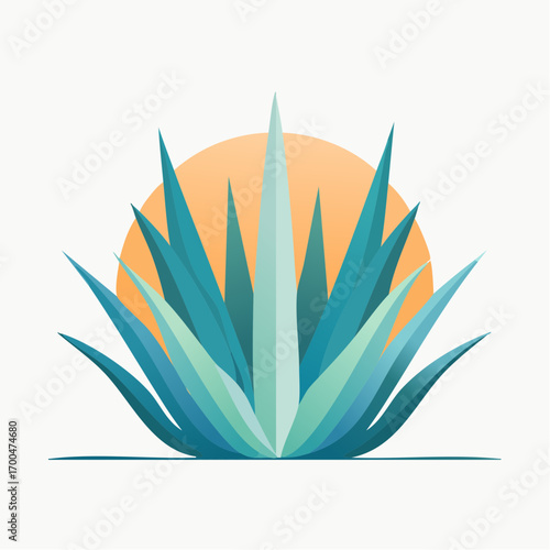 Blue Agave Plant at Sunset