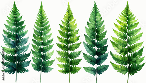 Watercolor fern leaves illustration. Hand-painted ferns in vibrant green hues. Botanical art of delicate fern leaves. Fresh green ferns watercolor artwork. Natural fern leaves in artistic style