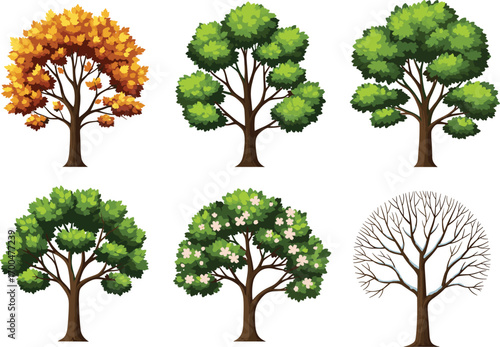 Seasonal tree vector set, spring bloom, summer foliage, autumn colors, winter bare tree, nature clipart, botanical illustration, landscape design elements