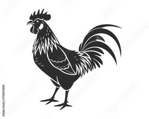 A bold, stylized silhouette of a rooster